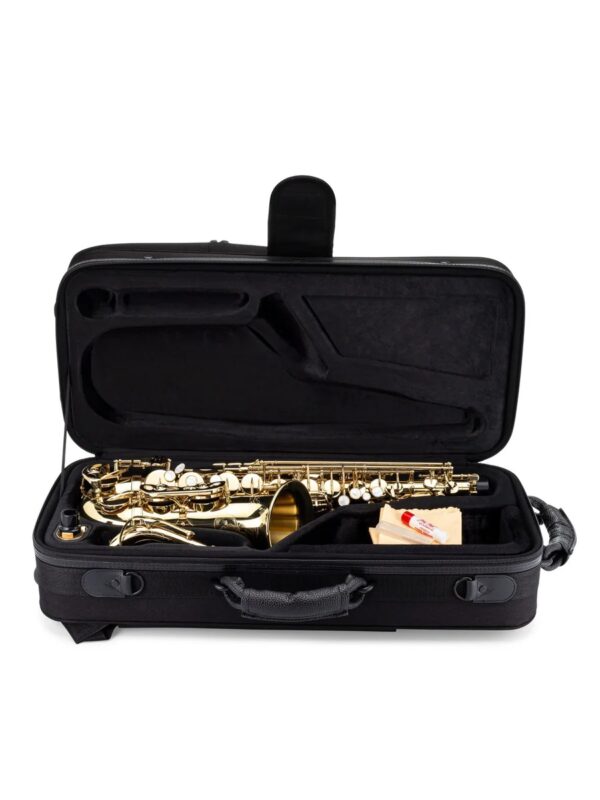 Jean Paul AS-860 Professional Alto Saxophone - Anniversary Edition - Image 5