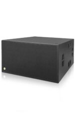 TR.LIGE TQ-280N Dual 18 inch Passive Subwoofer Pair