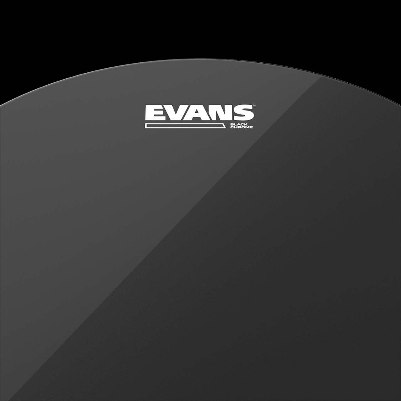 Evans Black Chrome Tom Batter Head - 12 inch